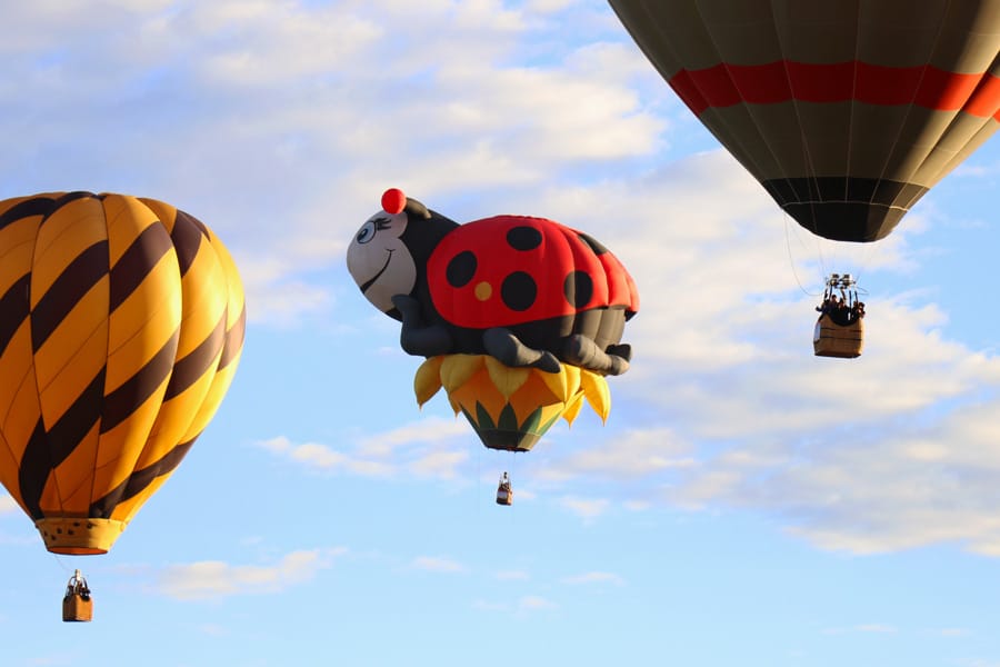 2017 Albuquerque International Balloon Fiesta in New Mexico Special Shapes Rodeo Ladybug