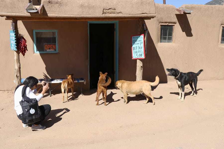 Taos Pueblo New Mexico Road Trip Travel Tips Dogs
