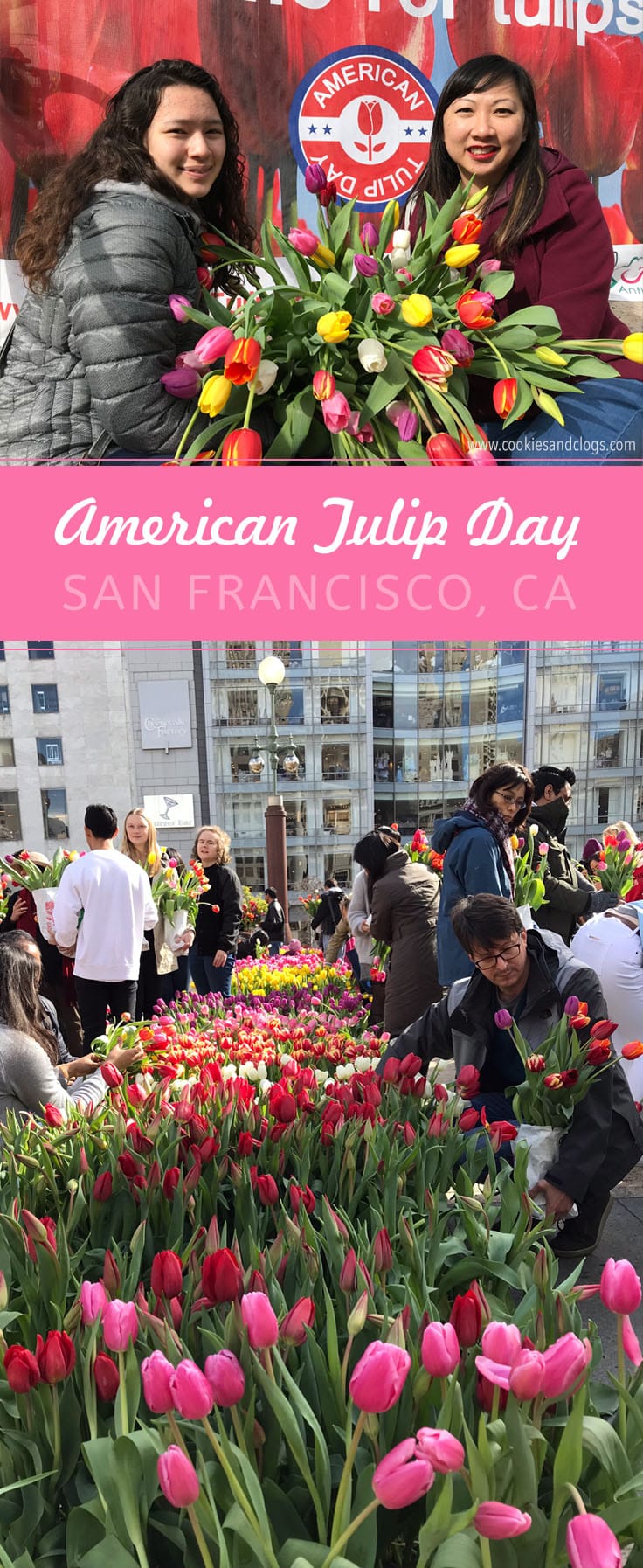 2018 American Tulip Day in San Francisco California at Union Square / Tulpendag San Francisco
