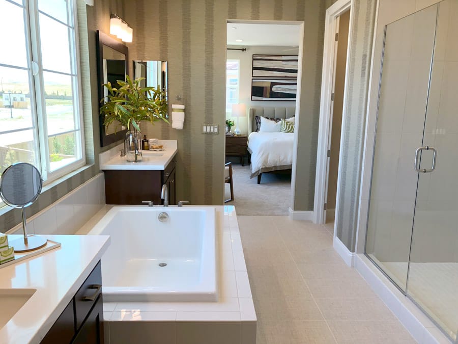 May 2018 Grand Opening of New Homes in Mountain House, CA — Wellington by Richmond American Homes neighborhood and model homes to tour.