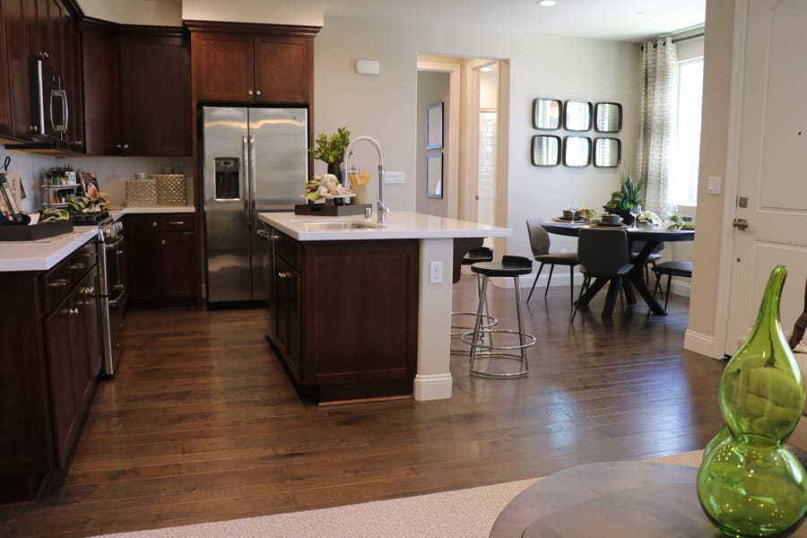 May 2018 Grand Opening of New Homes in Mountain House, CA — Wellington by Richmond American Homes neighborhood and model homes to tour.
