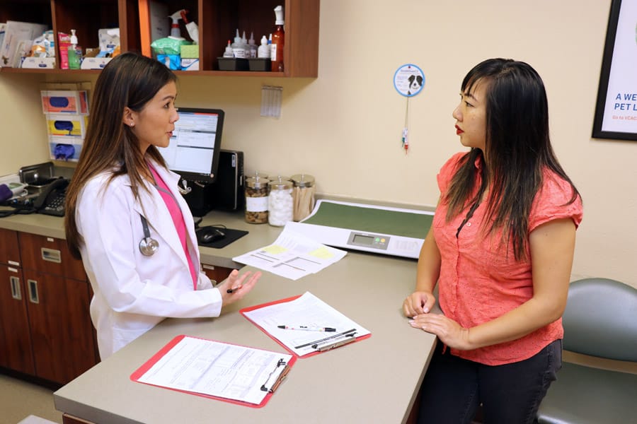 How to Care for a Senior Dog healthcare and wellness - VCA San Carlos Dr. Yick