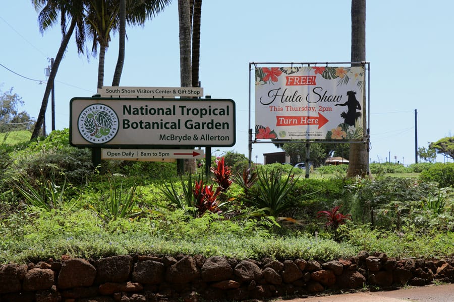 Taking the Allerton Garden Tour in Lawai Valley on the South Shore. 1 of 3 National Tropical Botanical Gardens in Kauai Hawaii.