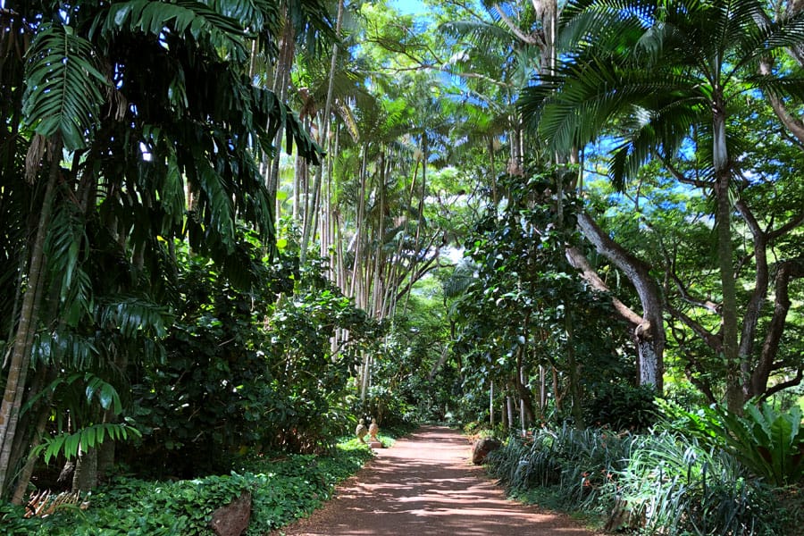 Taking the Allerton Garden Tour in Lawai Valley on the South Shore. 1 of 3 National Tropical Botanical Gardens in Kauai Hawaii.