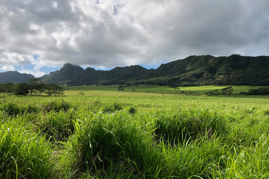 Kauai ATV Waterfall tour with family / teens in Ohana Bug in Kauai Hawaii Jurassic Park Joe Young Setting