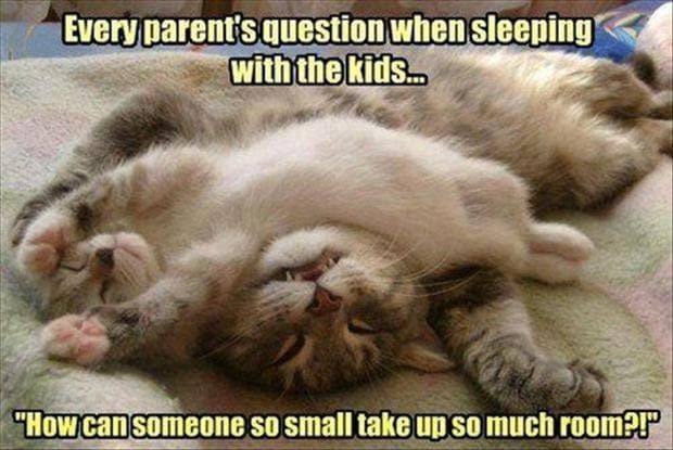 Sleeping With Kids Funny Quote