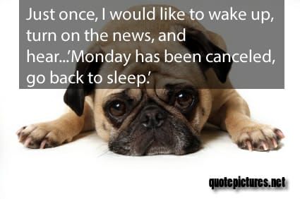 Funny Quote, Cute Quote, Monday Has Been Canceled