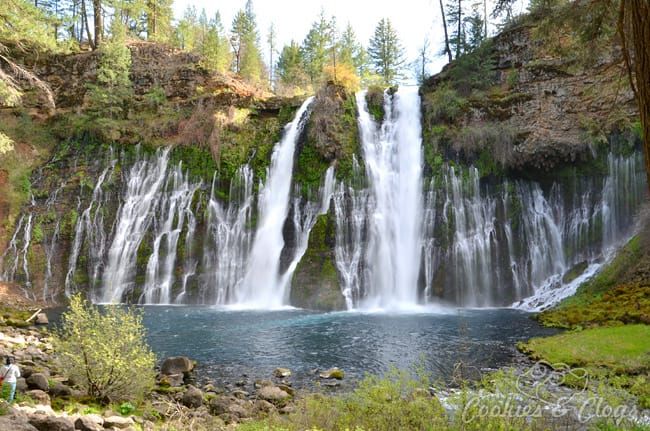 McArthur-Burney Falls Memorial State Park in California - Waterfall #Photography #Travel
