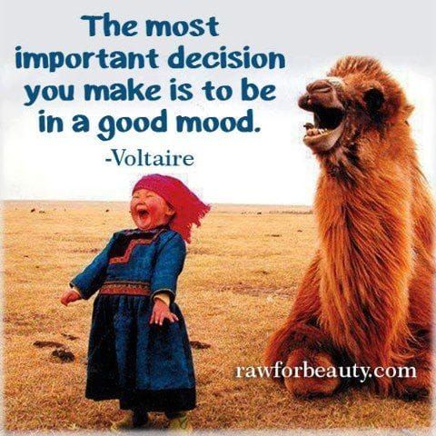 Sweet Quote About Happiness: Decide to be in a good mood #quotes #humor
