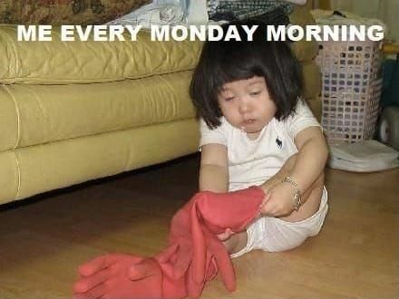 Cute Quotes | Motivational Monday | Does this cute quote / photo meme resemble you at all first thing Monday morning?