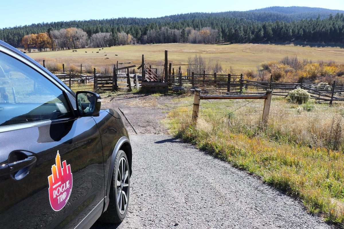 New Mexico to Colorado Family Road Trip in the 2017 Nissan Rogue Sport