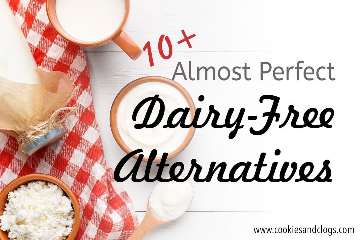 Best 10+ Almost Perfect Dairy Free Alternatives Vegan for Cheese, Yogurt, Sour Cream, Milk Ice Cream, Cream Cheese, and More