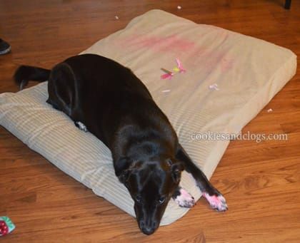 Passing of the Pink Highlighter – Speckles’ Revenge