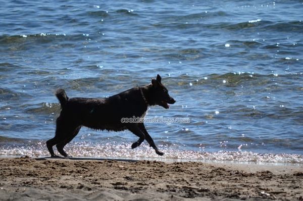 Kings Beach on the north shore of Lake Tahoe, California