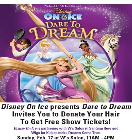 Disney on Ice Dare to Dream San Jose Special with Wigs for Kids