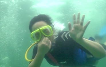 Destin Snorkel Snuba and Dolphin - Family Run and Owned