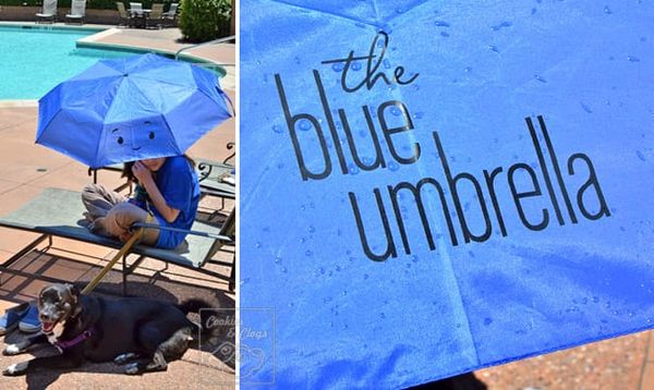 The Blue Umbrella Disney Pixar Animated Short Film Shown with Monsters University, directed by Saschka Unseld