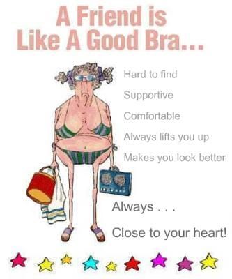Funny Quote A Friend is Like a Good Bra