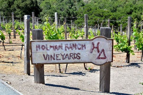 Holman Ranch Winery & Vineyard in Carmel Valley, CA
