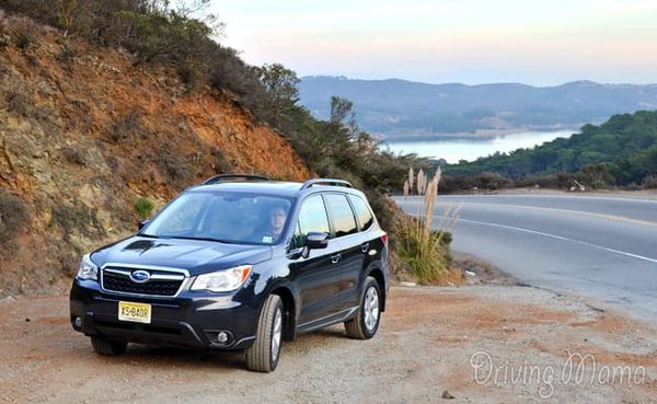 Urban Off-Roading in the 2014 Subaru Forester