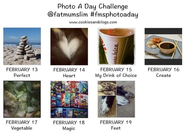 2014 FEBRUARY - Photo A Day Challenge (photos by www.cookiesandclogs.com) @fatmumslim #fmsphotoaday