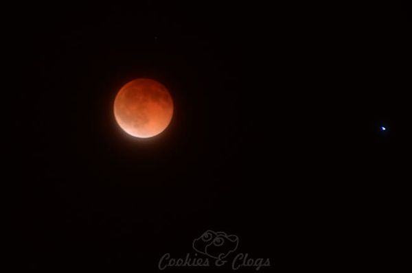 Blood Moon - April 15, 2014 #BloodMoon