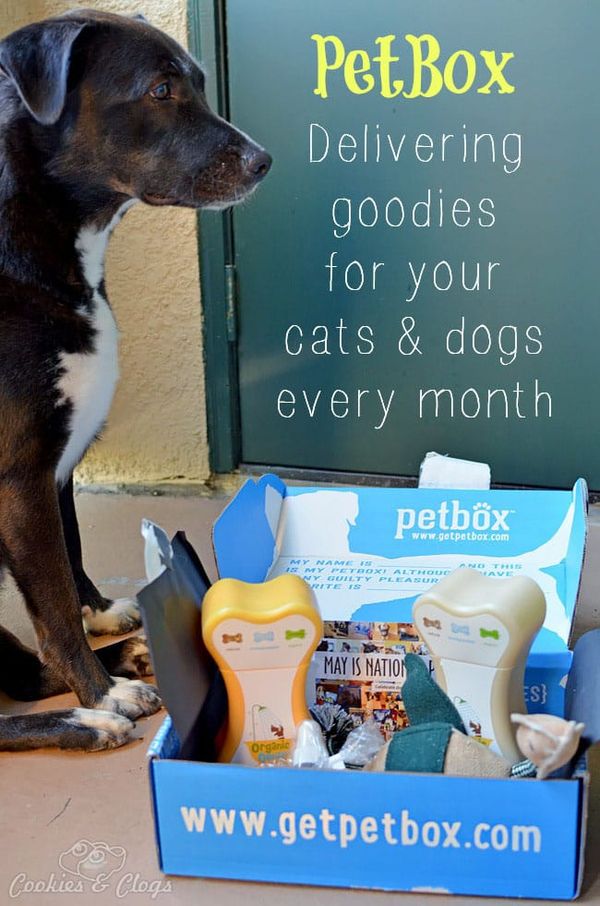 PetBox monthly pet / dog / cat delivery service #Dogs #Cats