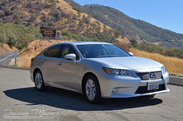2014 Lexus 300h Review – Hybrid Luxury Sedan #Cars