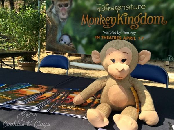 Monkey Kingdom | Nature | Animals | In honor of Disneynature Monkey Kingdom, we visited the Los Angeles Zoo to see several sp