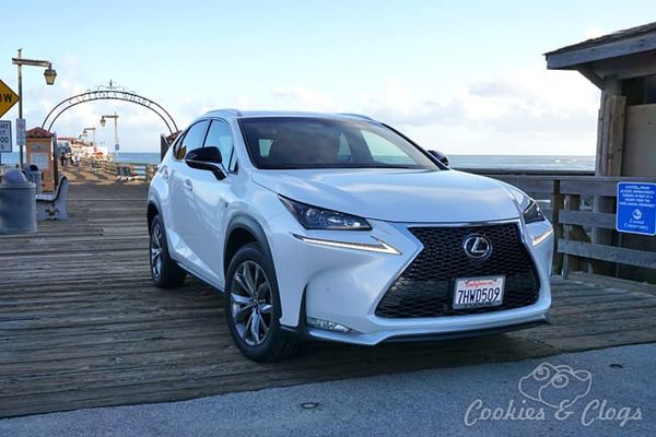 Cars | Car Reviews | The 2015 Lexus NX 200t packs quite a punch and does so with style. Find out why this is a fantastic fami