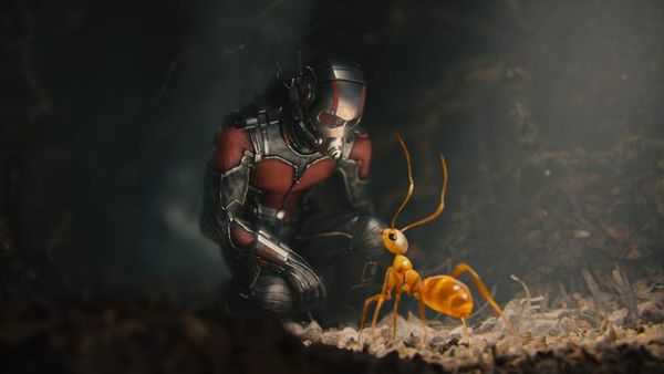 Entertainment | Movies | One of our personal favorite Marvel films is now available to own! Check out the fantastic bonus fea