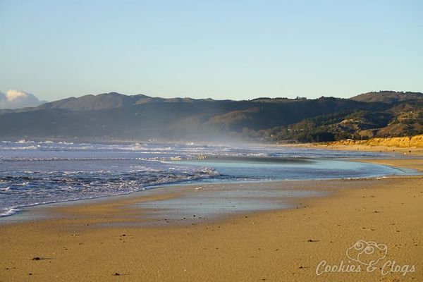 Family Travel | San Francisco Bay Area in California | We just discovered a great family beach that is also dog friendly (on