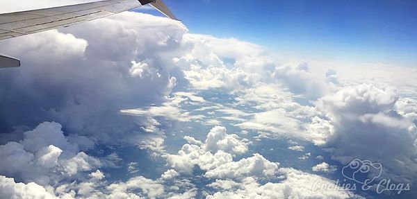 Travel | Blogging | Business | We're headed to Walt Disney World in Orlando, Florida again for the 2016 Disney Social Media M