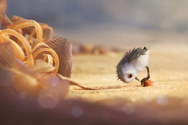 Movies | Disney Pixar will be releasing another animated treat along with Finding Dory on June 17, 2016. Enjoy these six fun