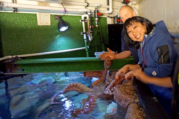 Movies | Disney / Pixar | See why animating Hank the septopus from Finding Dory was so difficult, learn some movie fun facts,