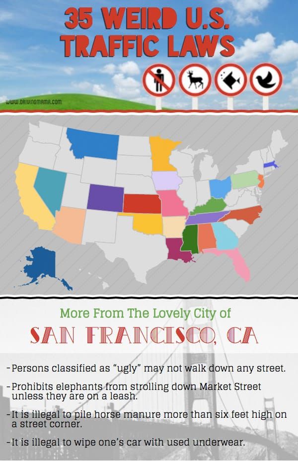 35 Ridiculous, Crazy, Weird Traffic Laws Infographic