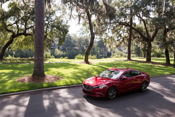 Cookies & Clogs | Travel | Cars | Check out a few things to do and places to eat in Bluffton and Hilton Head Island in South