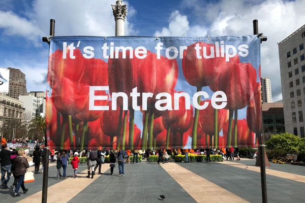 Free tulips at the second annual 2019 American Tulip Day in San Francisco is happening March 2, 2019 at Union Square.