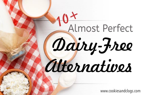 Best 10+ Almost Perfect Dairy Free Alternatives Vegan for Cheese, Yogurt, Sour Cream, Milk Ice Cream, Cream Cheese, and More
