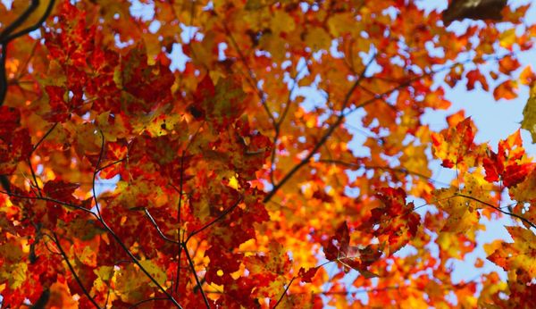 Fall 2023 Newsletter
