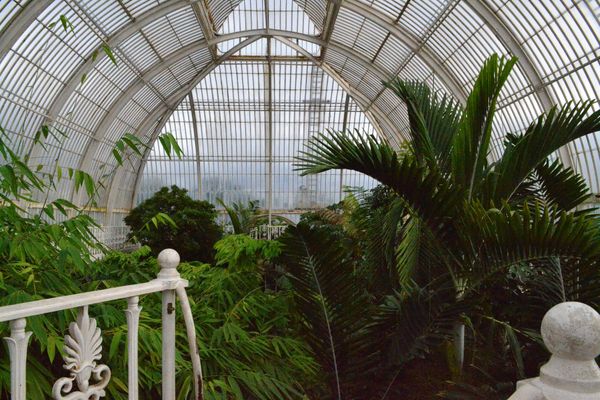 Kew Gardens in the Autumn