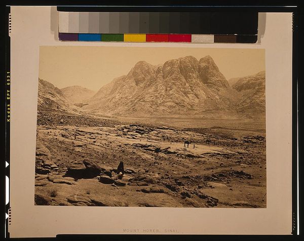 Yisrō & Tu B'Shvat / יתרו & דער חמישה־⁠עשׂר