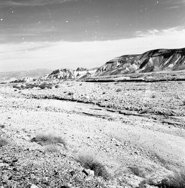 Tōldōs and Stew worth forsaking your birthright / תּולדת