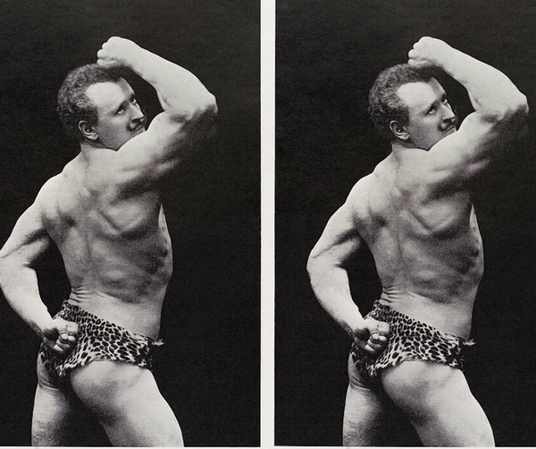 Vayaḥi and New beginnings / ויחי