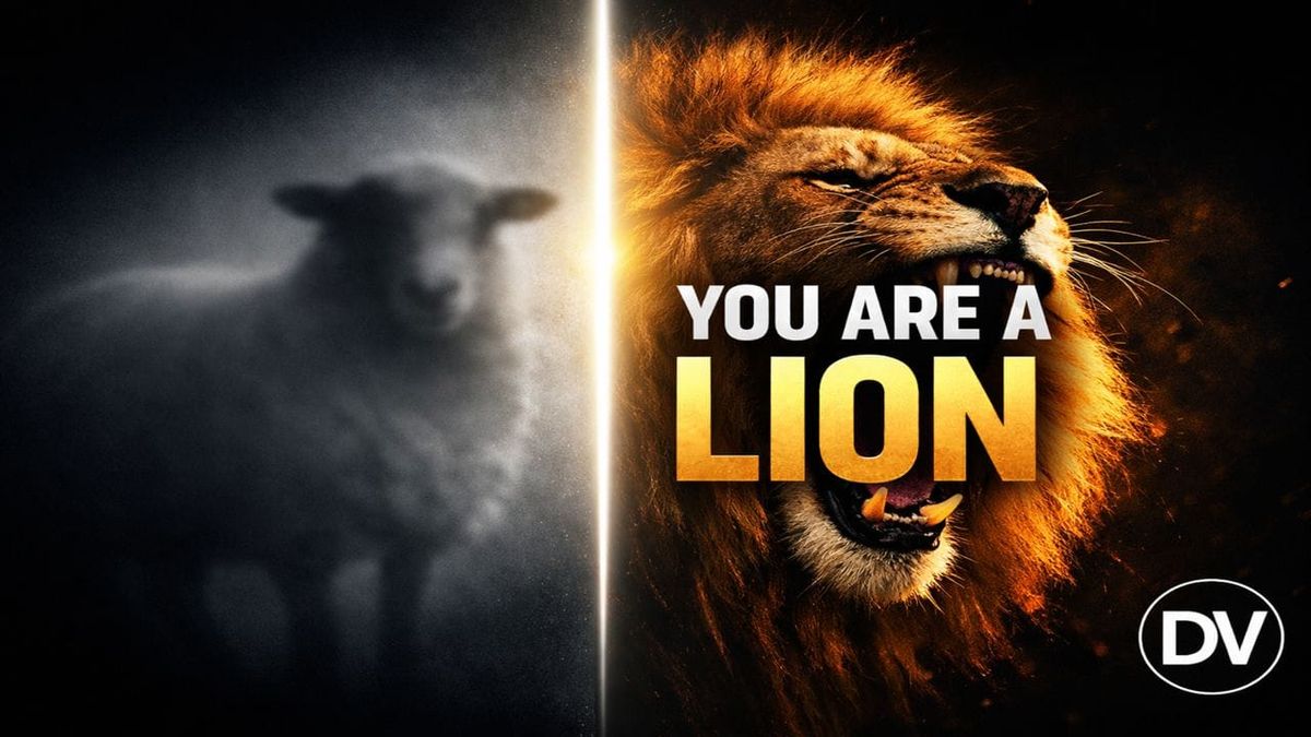 When the Valley Teaches You to Forget You Were Born to Roar