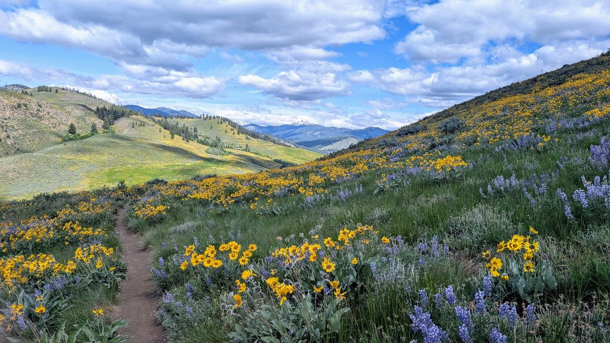 Sabbatical in 3, 2, 1...