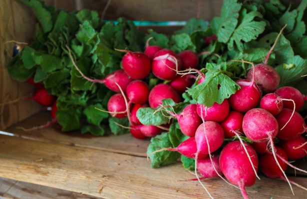 Local farmers buck industrial ag trends, offer community reliable, affordable care and feeding