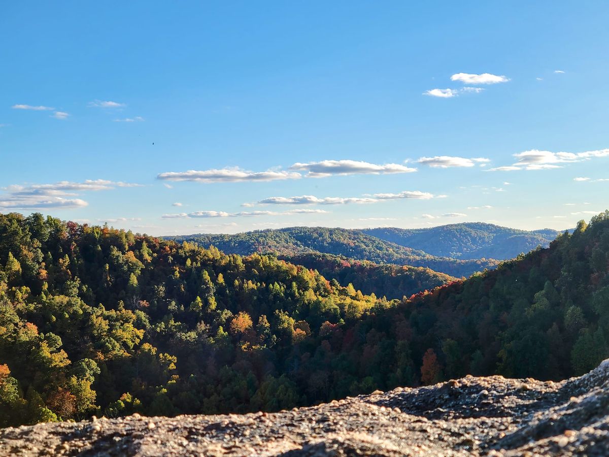 A victory for beauty