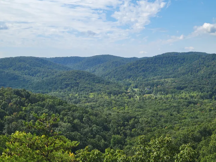 EKPC sues Berea College for access to its forest