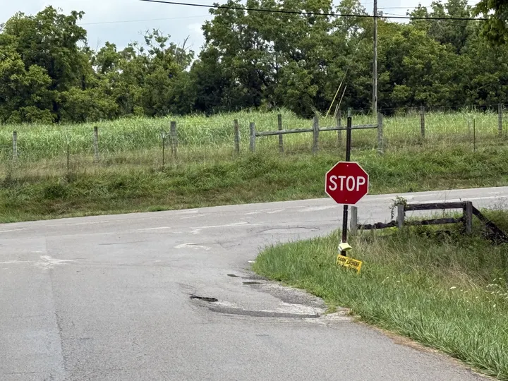 The 'despotic' power of government: when the state takes what's yours